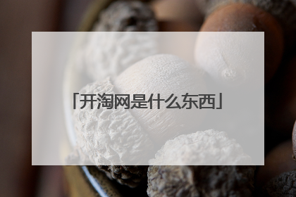 开淘网是什么东西