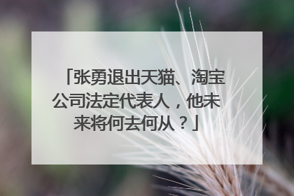 张勇退出天猫、淘宝公司法定代表人，他未来将何去何从？