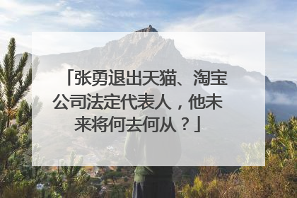 张勇退出天猫、淘宝公司法定代表人,他未来将何去何从?
