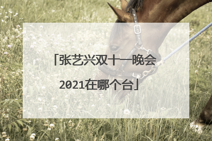 张艺兴双十一晚会2021在哪个台