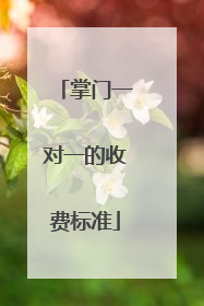 掌门一对一的收费标准