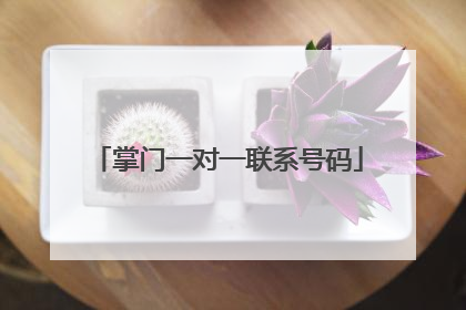 掌门一对一联系号码