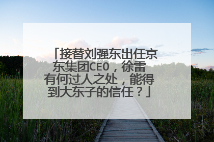 接替刘强东出任京东集团CEO,徐雷有何过人之处,能得到大东子的信任?