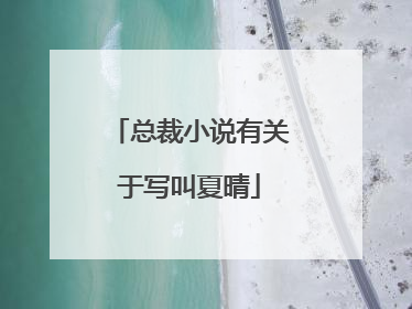 总裁小说有关于写叫夏晴