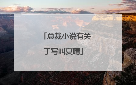 总裁小说有关于写叫夏晴