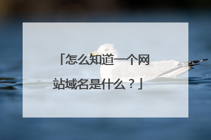 怎么知道一个网站域名是什么？