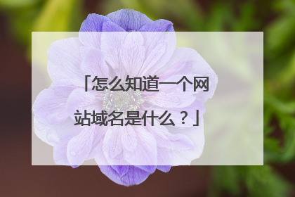 怎么知道一个网站域名是什么?