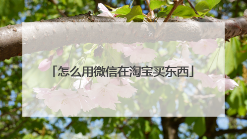 怎么用微信在淘宝买东西
