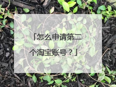 怎么申请第二个淘宝账号?