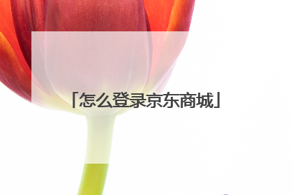 怎么登录京东商城