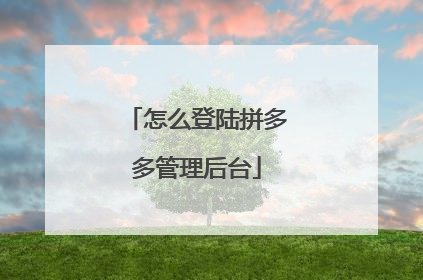 怎么登陆拼多多管理后台