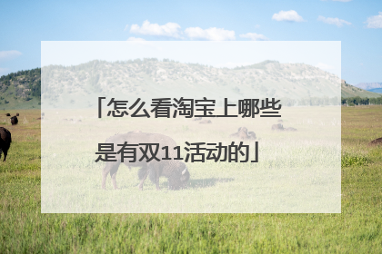 怎么看淘宝上哪些是有双11活动的