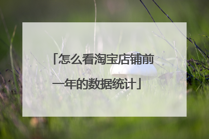 怎么看淘宝店铺前一年的数据统计