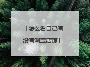 怎么看自己有没有淘宝店铺