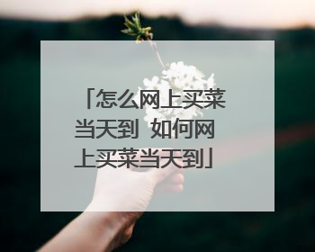 怎么网上买菜当天到 如何网上买菜当天到