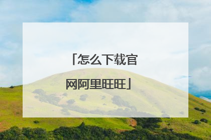 怎么下载官网阿里旺旺