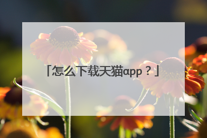 怎么下载天猫αpp?