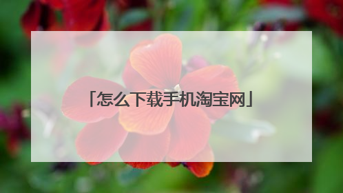 怎么下载手机淘宝网