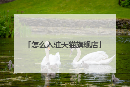怎么入驻天猫旗舰店
