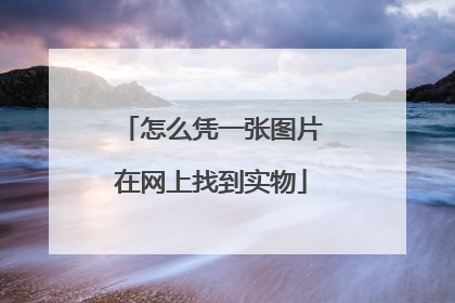 怎么凭一张图片在网上找到实物