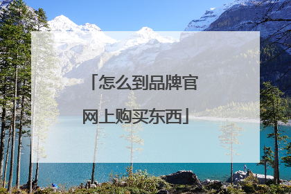怎么到品牌官网上购买东西