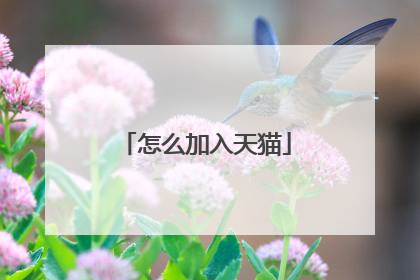 怎么加入天猫