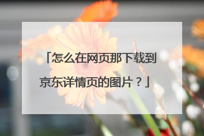 怎么在网页那下载到京东详情页的图片?