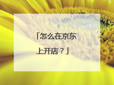 怎么在京东上开店？