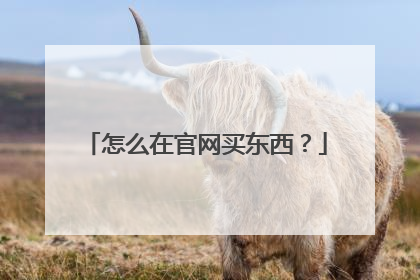 怎么在官网买东西?