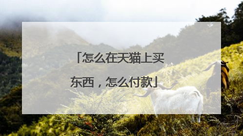 怎么在天猫上买东西，怎么付款