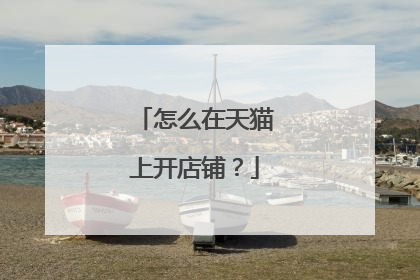 怎么在天猫上开店铺?