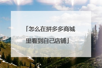 怎么在拼多多商城里看到自己店铺