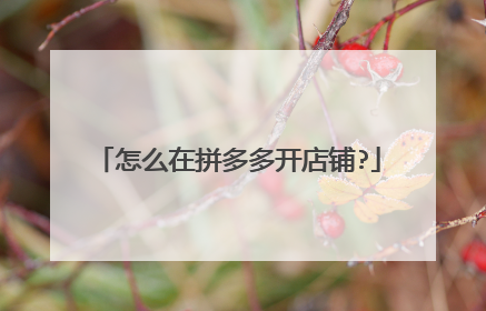 怎么在拼多多开店铺?