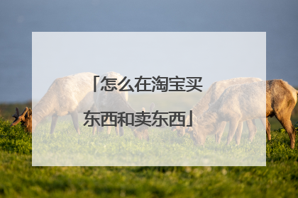 怎么在淘宝买东西和卖东西
