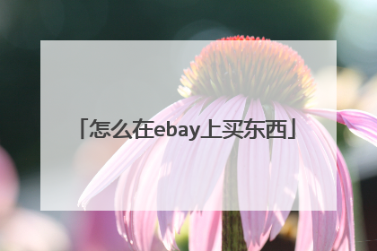 怎么在ebay上买东西