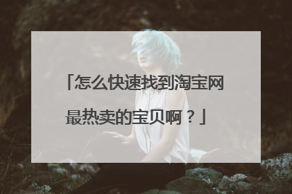 怎么快速找到淘宝网最热卖的宝贝啊？