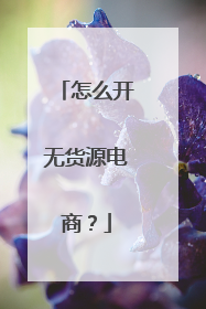 怎么开无货源电商?