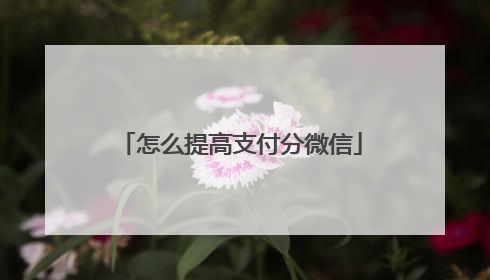 怎么提高支付分微信