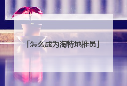 怎么成为淘特地推员