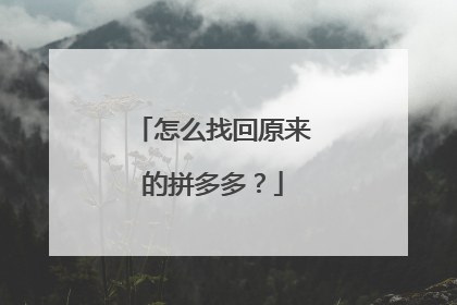 怎么找回原来的拼多多?