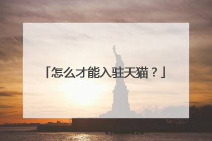 怎么才能入驻天猫？