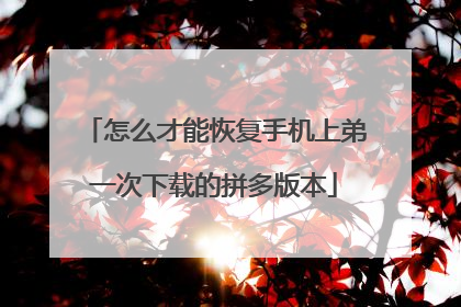怎么才能恢复手机上弟一次下载的拼多版本