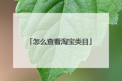 怎么查看淘宝类目