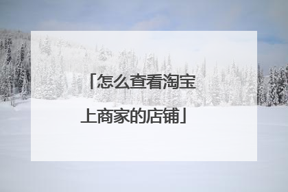 怎么查看淘宝上商家的店铺