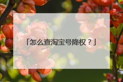 怎么查淘宝号降权?