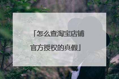 怎么查淘宝店铺官方授权的真假