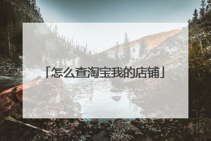 怎么查淘宝我的店铺