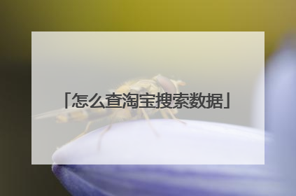 怎么查淘宝搜索数据