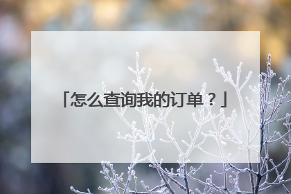 怎么查询我的订单?