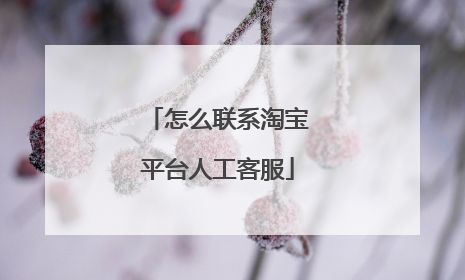 怎么联系淘宝平台人工客服